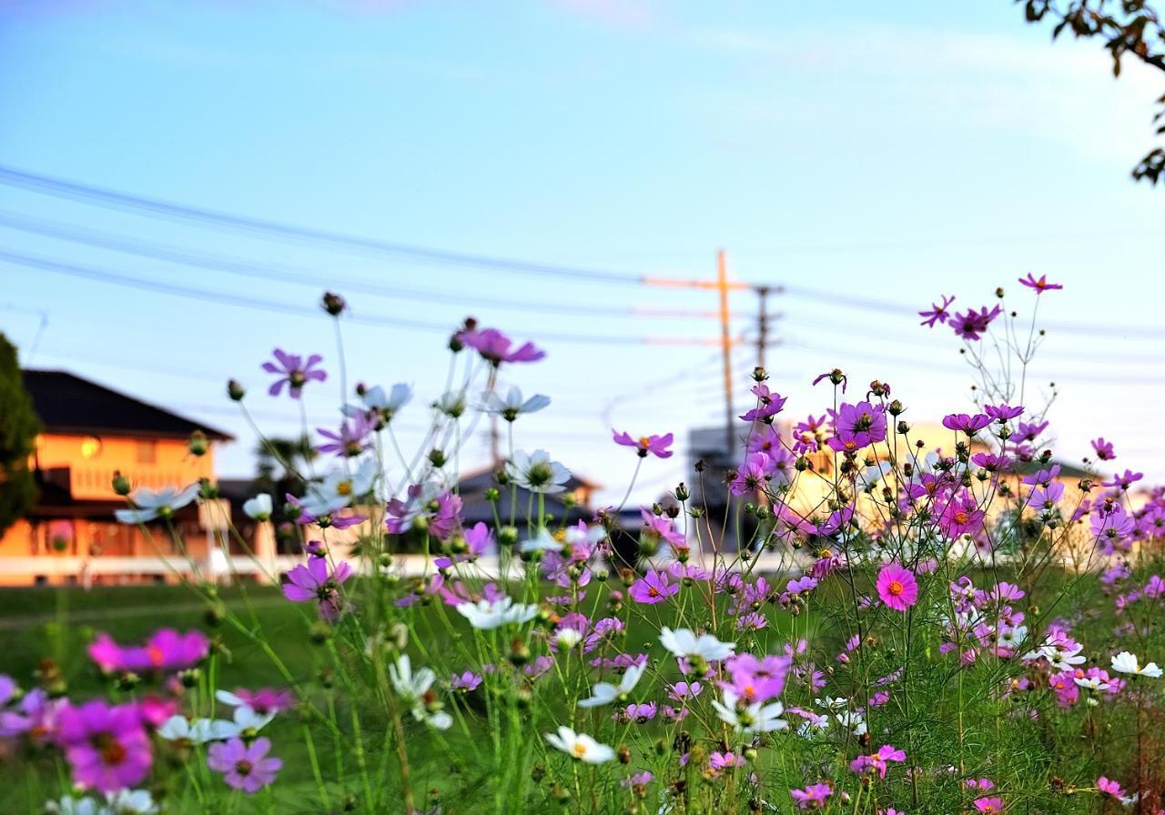 Kusunoki（women Only） Guest house